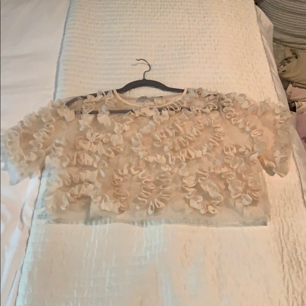 Zara ruffle crop top